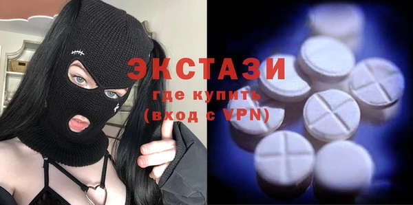 индика Гусь-Хрустальный