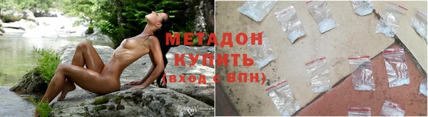 прущие грибы Анжеро-Судженск