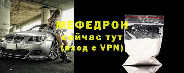 индика Гусь-Хрустальный