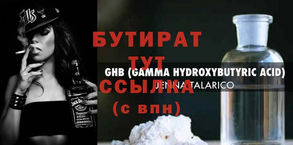 индика Гусь-Хрустальный