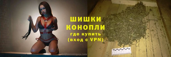 индика Гусь-Хрустальный