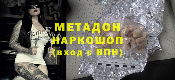 индика Гусь-Хрустальный