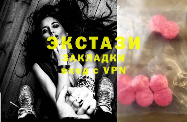 индика Гусь-Хрустальный