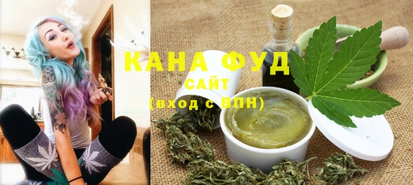 индика Гусь-Хрустальный
