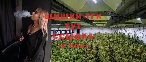 винт Гусев