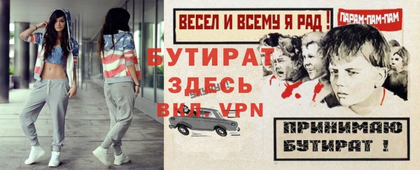 индика Гусь-Хрустальный