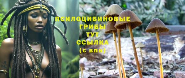 мескалин Гусиноозёрск
