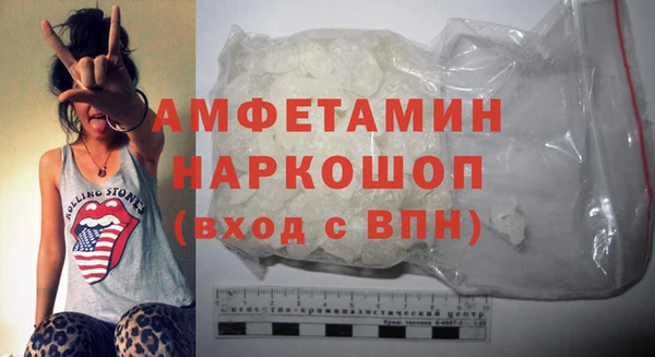 индика Гусь-Хрустальный