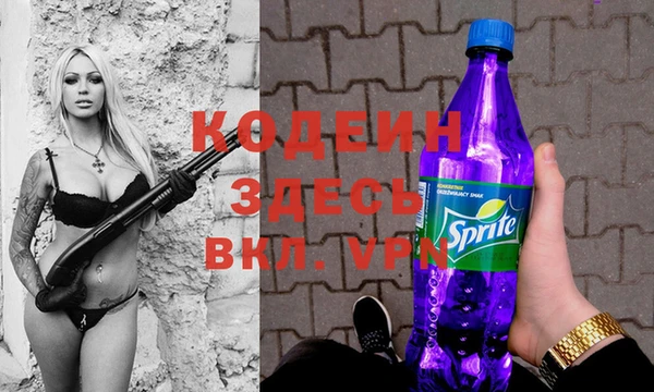 индика Гусь-Хрустальный