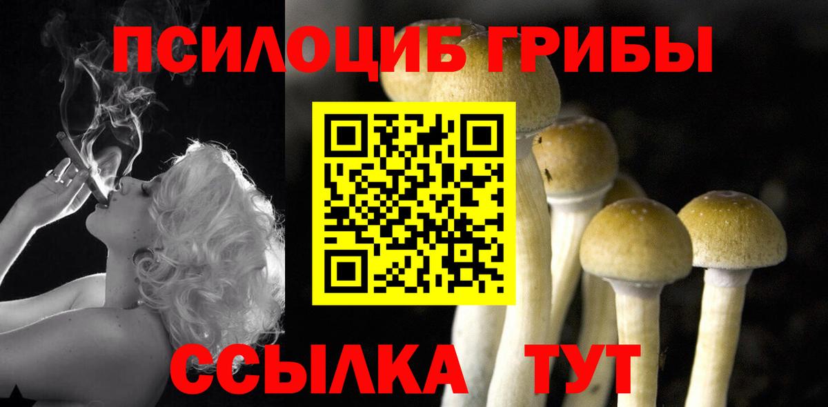 Дюртюли  Галлюциногенные грибы Magic Shrooms  Галлюциногенные грибы Psilocybine cubensis  Вход с VPN 